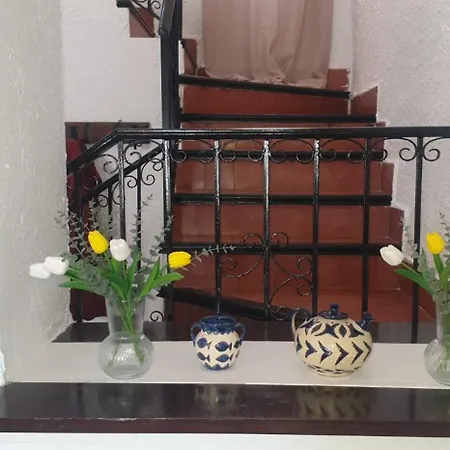 Crisantemos Vila