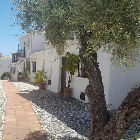 Vila Crisantemos