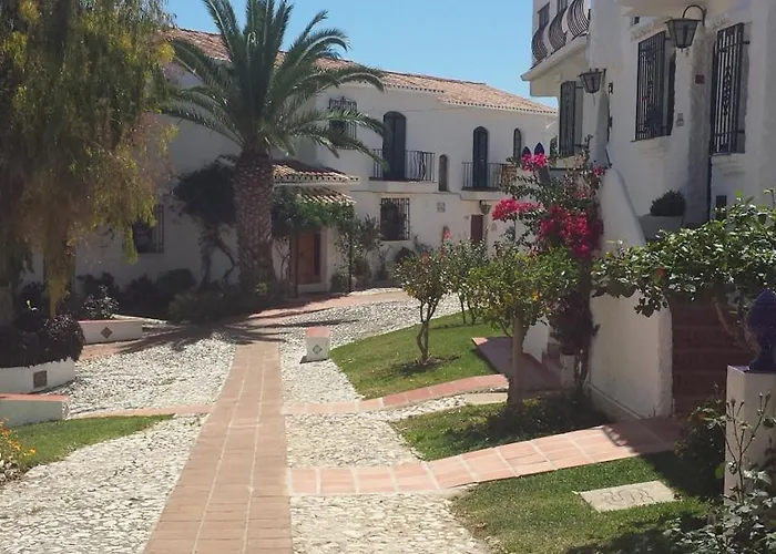 Crisantemos Villa Nerja