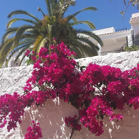 Crisantemos וילה *